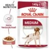 ROYAL CANIN MEDIUM Adult 10x140g