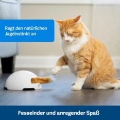 PetSafe Automatisches Katzenspielzeug Fox Den -Trixie Deutschland Verkaufs-Shop 038232be25f9015ce160251d628e0af5cabbc69f 1351524 de DE dbeb3a30744bbc866a12a3ecd4f619007abf0a14xn8Dpf