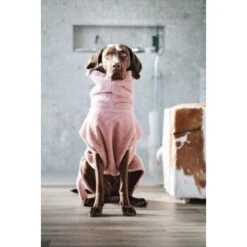 Lills Lill's Hundebademantel "Pink Berry" 35 Cm 9 Lills Lill's Hundebademantel "Pink Berry" 35 Cm -Trixie Deutschland Verkaufs-Shop 04a74783d50cdc98002051c351bf7a8a33cd1745 1349655 de DE 212dae4af17564ba144b7af1fd42f4b436426636rEvFkh