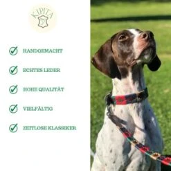 Kipita Polo Hundeleine Classic 11 Kipita Polo Hundeleine Classic -Trixie Deutschland Verkaufs-Shop 06c4280ca9f0f4d08f00ed0e586db0444f1c823b 1410955 de DE 3f24f27a92305e3175d49b5ce78d80f33ebe0dedEgP7aq