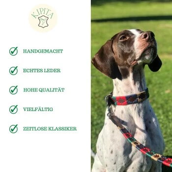 Kipita Polo Hundeleine Classic 6 Kipita Polo Hundeleine Classic – Bild 6