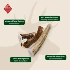 ChronoBalance Rothirsch Geweihstange Ganze Und Runde Stücke 300 G -Trixie Deutschland Verkaufs-Shop 08e6e76c5c3e8863d054d54fbc69325510bb6eb3 1409643 de DE 97f6faa2e066481717c6e9970bb381a3824303b8rqJ9OV