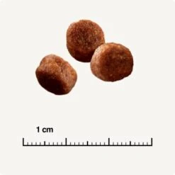 SELECT GOLD Digestion Senior Geflügel Und Reis 2,5kg -Trixie Deutschland Verkaufs-Shop 0999645de19e34aac9b2c14ea642717fe4bc62d2 1001086008 de DE 6