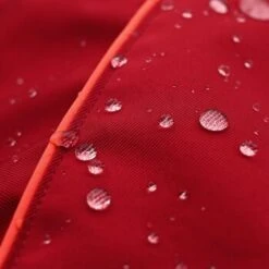 THE DOG IDEA Regenmantel Duke Rot XXXS 10 THE DOG IDEA Regenmantel Duke Rot XXXS -Trixie Deutschland Verkaufs-Shop 0b96c2b346599e3bfc621cd46bc5222963a975ce 1487619 de DE 15918523d26ad94991e88a54ba0dbb6c1b769d88mq6M8P