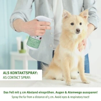 Aniforte Zeckenspray Für Hunde 250ml 5 Aniforte Zeckenspray Für Hunde 250ml – Bild 5