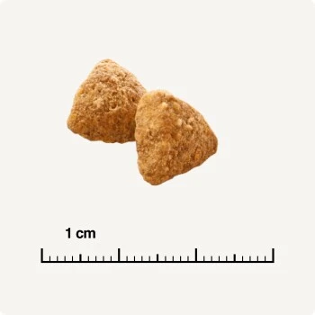 SELECT GOLD Light Adult Geflügel & Reis 2,5 Kg 5 SELECT GOLD Light Adult Geflügel & Reis 2,5 Kg – Bild 5