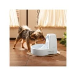 PetSafe Drinkwell Trinkbrunnen Original, 1,5 Liter 6 PetSafe Drinkwell Trinkbrunnen Original, 1,5 Liter -Trixie Deutschland Verkaufs-Shop 0eafb4742dba6833f9a27c15a06f970e4cd3a735 e5e9d8abdbe4501019d4b3506e15c02aeff7b01c