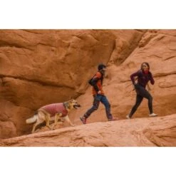 Ruffwear Hemp Hound™ Sweater Rosso M -Trixie Deutschland Verkaufs-Shop 0f007e043307b4af121eddda3cbc9166357cc781 1639886 de DE 9d517e653a6756aea5aff487f1d4367033c9f0eco8wkkb