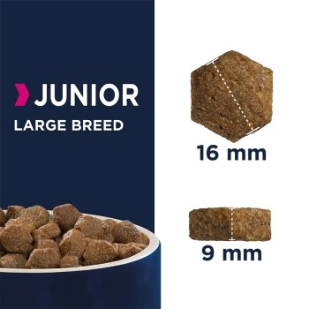 EUKANUBA Junior Large Breed Huhn 15kg 5 EUKANUBA Junior Large Breed Huhn 15kg – Bild 5