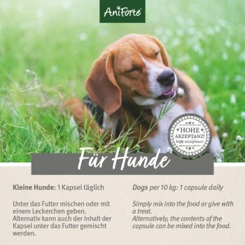Aniforte Zecken Schild (bis 10kg) Für Kleine Hunde 60 Kapseln 6 Aniforte Zecken Schild (bis 10kg) Für Kleine Hunde 60 Kapseln – Bild 6
