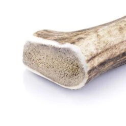 Larsson Geweih L Ca. 120-160g -Trixie Deutschland Verkaufs-Shop 16628a63cb387a462d77cd608be46a48db5f4900 1057933 de DE 747de37a3b9f5850a9906915adf22030bae8f825ucH14V