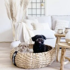 District 70 COCOON Natural M -Trixie Deutschland Verkaufs-Shop 1db584284c497361442002ba80ca8dd9597a35b9 1ad367312153dfaf420d5600b6e8e9dac5cec798