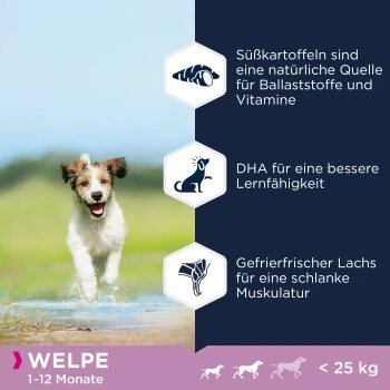 EUKANUBA Welpenfutter Getreidefrei Für Kleine Und Mittelgroße Rassen 3 Kg 2 EUKANUBA Welpenfutter Getreidefrei Für Kleine Und Mittelgroße Rassen 3 Kg – Bild 2