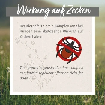Aniforte Zecken Schild (bis 10kg) Für Kleine Hunde 60 Kapseln 3 Aniforte Zecken Schild (bis 10kg) Für Kleine Hunde 60 Kapseln – Bild 3