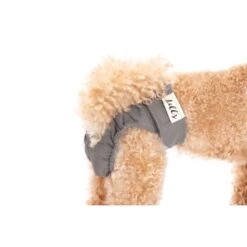 Lills Läufigkeitshöschen "Lou" Pink Berry Grau XXL -Trixie Deutschland Verkaufs-Shop 2510182477e0473189522ab4c4eec9318a5ab186 1662393 de DE e81483ca839e45ba2b9fb54d71ddd02dbfa55b06LbZw0y