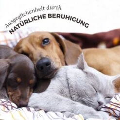 Aniforte Bachblüten Protest -Trixie Deutschland Verkaufs-Shop 2588226ebcbbd40f01b907ef368da65b2a00ff55 1480465 de DE 3ebd76937caa06852ee58c852a369637b3a50c858P4hCz