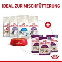 ROYAL CANIN SENSORY Smell In Gelee Für Wählerische Katzen 12x85g -Trixie Deutschland Verkaufs-Shop 25c7f2b0017090b05172a164b94d24299f626039 5b9b3776479c43ed4449b8634046c65b7d96c1fe
