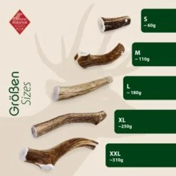 ChronoBalance Rothirsch Geweihstange Ganze Und Runde Stücke 300 G -Trixie Deutschland Verkaufs-Shop 26abec1cc05fc1329a555525fdb7a71f1bde973b 1409643 de DE b53ead287655d4956b27f33d8e355158a7ac55de6JKqvP