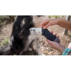 Ruffwear Bark'n Boot Liners™ Socken M -Trixie Deutschland Verkaufs-Shop 2835dda8cd15e33a659ec5080d162d132daa0859 1363986 de DE b8adaab7095817086a79f83ae1a26d9c3b5c1b8bAgOMlL