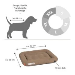 Doctor Bark Lounge-Kissen Sandbraun S -Trixie Deutschland Verkaufs-Shop 2963b4baccec4fc858c8f95f66d3e8f46911bb05 1399026 de DE 90717154e6dd58a4c9c25001e3740a44ceb4b2abm9hHjz