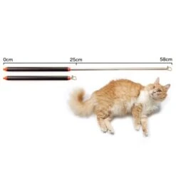 Schlitzohr Stabile Katzenangel Arnold 10 Schlitzohr Stabile Katzenangel Arnold -Trixie Deutschland Verkaufs-Shop 2b03aaa8061d454c3b132f3d29075b579f022315 1484671 de DE 4db6a969e0582cf4b987acff93cb66c6c6149da6OAB1hx