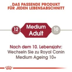 ROYAL CANIN MEDIUM Adult 10x140g -Trixie Deutschland Verkaufs-Shop 2bc51ee6ce6ca6764ae5b934f9ec27fdf3d98c24 9003579008362 2