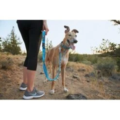 Ruffwear Web Reaction™ Halsband Blau S 13 Ruffwear Web Reaction™ Halsband Blau S -Trixie Deutschland Verkaufs-Shop 2cdfdccf008759cf17f48f239379359c334e9357 1651469 de DE 0072b4ff1341ecdf919c350193ff39629ad782b0mKg81g