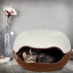 Canadian Cat Company Filz Katzennest 2.0 Weiß -Trixie Deutschland Verkaufs-Shop 2d709df44822ed1c554e77257ea4f2826b7f6ee6 1412670 de DE f4bc2f42c404e1ae32cb86346c8e995f0178b889j3OAow