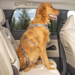 Kurgo Swivel Tether Hunde-Sicherheitsgurt -Trixie Deutschland Verkaufs-Shop 307a4c5f050b6142fe4c665bdeaa3a0be0385ec3 1481164 de DE 8cf1d51712fee99749a185998fab0d1502a24f68v0gDmS