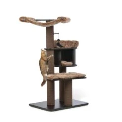 MORE Kratzbaum George