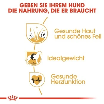 ROYAL CANIN Cocker Adult 12 Kg 7 ROYAL CANIN Cocker Adult 12 Kg – Bild 7