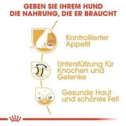 ROYAL CANIN Labrador Adult Sterilisiert 12 Kg -Trixie Deutschland Verkaufs-Shop 318ba0ef082f19d7f189daa60ce58b5b82da72b0 0f8c00585e5d0a1ec6125a08e6f6194a30028a03