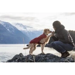 Ruffwear Overcoat™ Hundejacke Rot M 12 Ruffwear Overcoat™ Hundejacke Rot M -Trixie Deutschland Verkaufs-Shop 32b81091541e421621a809b75c62062d90eca320 1369977 de DE e6611e4bd31113b7d836455a75813df21f681f8eLLYoOv