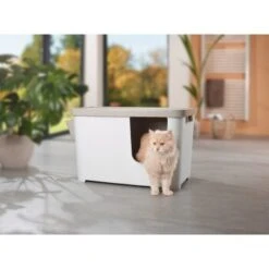 MORE FOR Katzentoilette XXL Titan 8 MORE FOR Katzentoilette XXL Titan -Trixie Deutschland Verkaufs-Shop 331a65ecbdbda6a54304894f23caf93293414f9a 41a7dcb3b92b8da7531785b268f381c1b25bbf04