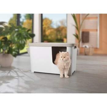 MORE FOR Katzentoilette XXL Titan 4 MORE FOR Katzentoilette XXL Titan – Bild 4