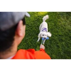 Ruffwear Gourdo™ Spielzeug S Grün -Trixie Deutschland Verkaufs-Shop 340d5a3cda4bb7c7215d03f2d69aea1fb532027d 1639795 de DE dcb292407c796db89093f35e704145b6700aa2deFjWC0G