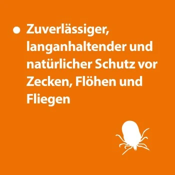 Ardap Zeckenspray Zur Anwendung Am Tier 250ml 2 Ardap Zeckenspray Zur Anwendung Am Tier 250ml – Bild 2