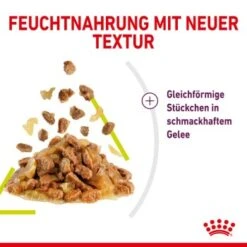 ROYAL CANIN SENSORY Smell In Gelee Für Wählerische Katzen 12x85g -Trixie Deutschland Verkaufs-Shop 3469e2789c9f64bff26f87bbac39ba0a4ed440ea 45f33cf5dbb691236fc67f7b11a07842abb35bb4