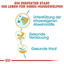 ROYAL CANIN Französische Bulldogge Puppy 10 Kg -Trixie Deutschland Verkaufs-Shop 34ed88d56e0be1cc0a286c4ecd66a1af31d1100e 2bf488555545c9acb1d0d947f06389b7a3324357