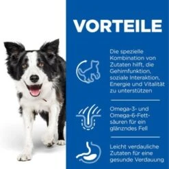 Hill's Science Plan Senior Vitality Medium Mature Adult 7+ 14 Kg -Trixie Deutschland Verkaufs-Shop 380d3b47e471ea8f2344a64f11a9d054a5d49ab3 52742026107 4