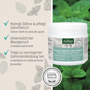 Aniforte Denta Clean & Care Zahnpflege Pulver 300 G 4 Aniforte Denta Clean & Care Zahnpflege Pulver 300 G – Bild 4