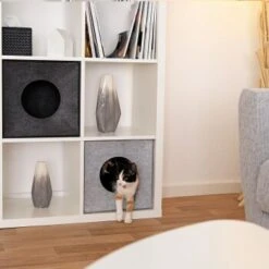 Lionto Katzenhöhle Aus Filz, Regalhöhle Hellgrau -Trixie Deutschland Verkaufs-Shop 3c5d584027a6e3b26513e541aa58d28bf163eba5 1657088 de DE 08ba330c4edc4dd9925351943ddeb35e95610dc5ibJstM