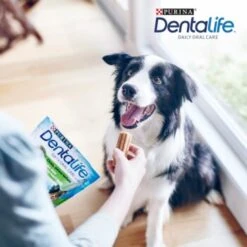 DentaLife PURINA Hunde Zahnpflege-Snacks Großpackung Medium, 84x -Trixie Deutschland Verkaufs-Shop 3d22bf74a99660236ce1548620fac8aa3ac8818f 7dac1d18ca011066644ad899fee9fa3bcb5974f5