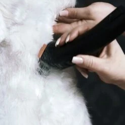 Moser Schermaschine Arco Pro 13 Moser Schermaschine Arco Pro -Trixie Deutschland Verkaufs-Shop 3e5298b3656d28f017bce510a0e1de7f397c869d 116095204b214f2dcd4eabf0f13676dba14e1568