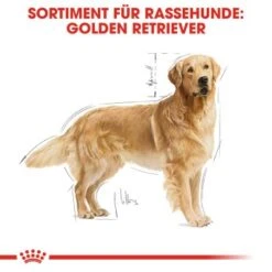 ROYAL CANIN Golden Retriever Adult 12 Kg -Trixie Deutschland Verkaufs-Shop 3f6d567572cfb1e47a6150727d5c2bca6786edbc 449b3ff968c54d107edb2d725c3518ba098a60bf