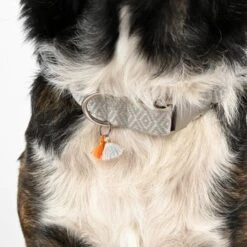 THE DOG IDEA Boho-Chic Halsband Ivy L 8 THE DOG IDEA Boho-Chic Halsband Ivy L -Trixie Deutschland Verkaufs-Shop 408ee4922683c869ff3d5c80037608142ac784fa 1662813 de DE f1cb924f7e4bbede434464b92844c6ba826fe8efNRNdW0