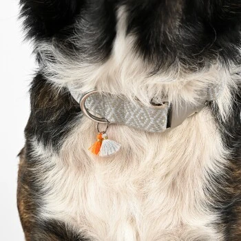 THE DOG IDEA Boho-Chic Halsband Ivy L 4 THE DOG IDEA Boho-Chic Halsband Ivy L – Bild 4