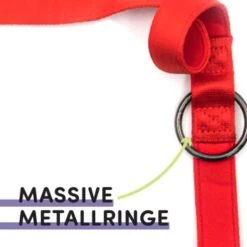 STUCH Hundeleine - Führleine - Medium Rot -Trixie Deutschland Verkaufs-Shop 417b667e17cc878e03d99935a0455feb62c1f5b9 1399118 de DE 95ade165f5933b21f71491f3eeb1769591b52c61Sn9mqZ