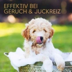 Pawlie's Welpenshampoo -Trixie Deutschland Verkaufs-Shop 42f9c58257fb2002e5c33c2d81bd829c9adeb1cc 1626204 de DE 8b17d3990cf88ea437c76c60b6848183bc9636a5a44ihJ