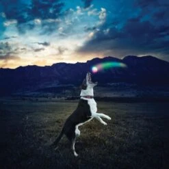 Nite-ize Nite Ize GlowStreak LED Ball 8 Nite-ize Nite Ize GlowStreak LED Ball -Trixie Deutschland Verkaufs-Shop 43e2b2f69678f8bd9a4783234d4d2f0f6539de2c aa0d4fe645719d25b1229e63d789e39274accd93